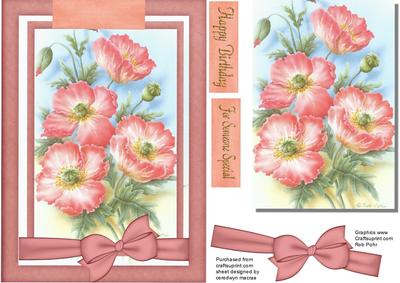 Beautiful Salmon Pink Poppys 