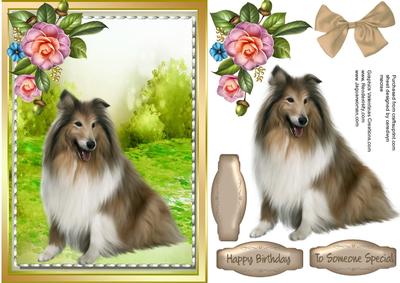 Beautiful Old English Sheep Dog 