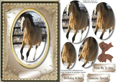 Beautiful Horse Galloping in the Snow 