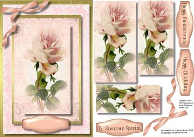Beautiful Pink Rose on Lace