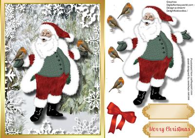 Santa's Feeding the Robin Red Breasts 