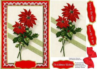 Beautiful Poinsettia in a Lace Frame 
