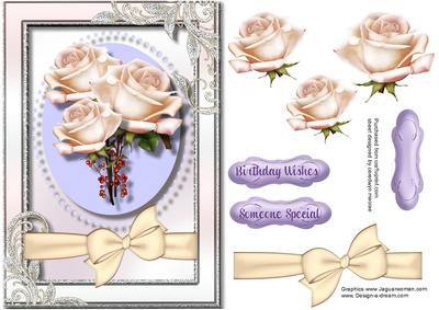 Beautiful Roses in a Siolver Frame 