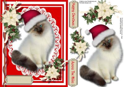 Lovely Persian Cat in a Santa's Hat