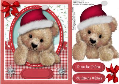 Darquise the Christmas Bear , Red