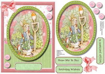 Peter Rabbit and the Winter Robin