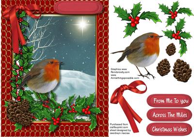 Beautiful Robin in a Winters Scene