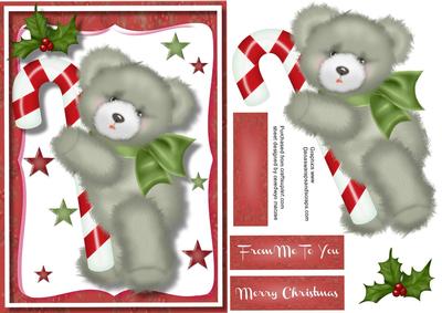 Little Fuzzy Bear with His Candy Cane 