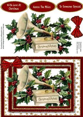 Beautiful Holly in a Gold and Red Star Frame 