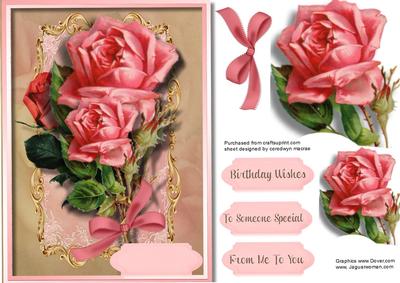 Beautiful Salmon Pink Roses in a Gold Ornate Frame 