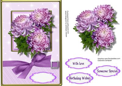 Beautiful Lilac Chrysanthemum's 
