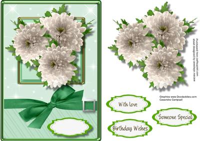 Beautiful White Chrysanthemum's
