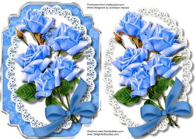 Beautiful Blue Roses on Butterfly Lace 