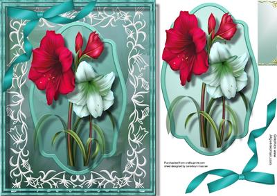 Beautiful Amaryllis in a Filigree Frame 