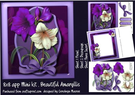 Beautiful Amaryllis 8x8 Mini Kit 