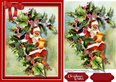 Santa and the Christmas Robin 