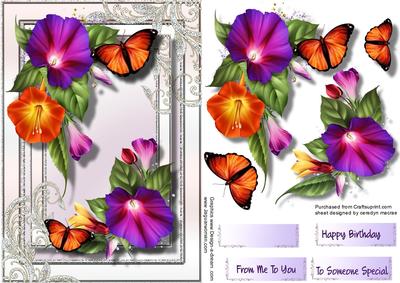 Beautiful Morning Glory and Butterfly's