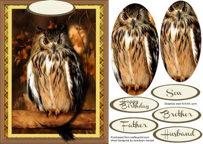 Beautiful Owl in Oval Pyramid 