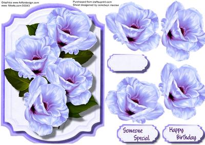 Beautiful Lilac Rose in a Bracket Frame 
