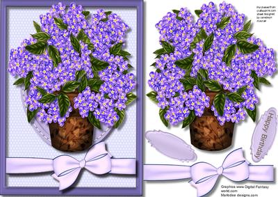 Beautiful Pot of Lilac 
