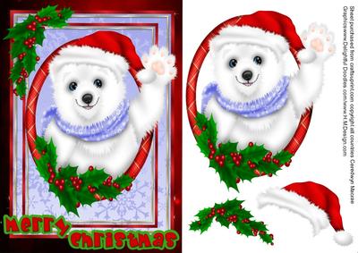 Beautiful White Polar Bear
