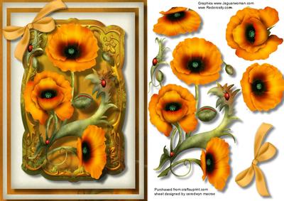 Lovely Golden Poppys and Ladybirds