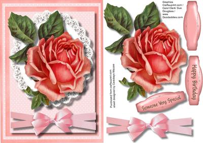 Beautiful Pink Roses on Lace 