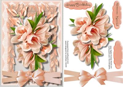 Beautiful Peach Magnolias in a Flower Frame 