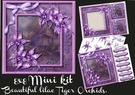8x8 Mini Kit Beautiful Lilac Tiger Orchids 