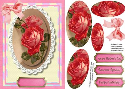 Beautiful Salmon Pink Roses on Lace 