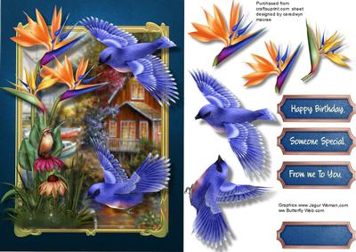 Beautiful Bird of Paradise Flower and Blue Birds
