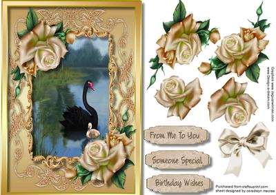 Beautiful Black Swan and Signet on the Lake 