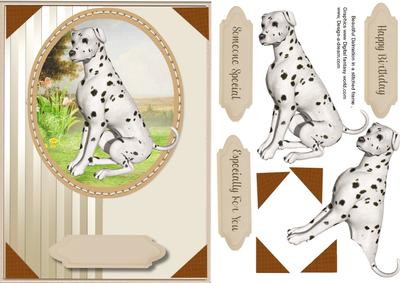 Beautiful Dalmation Dog in a Stitched Frame 