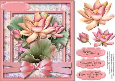 Beautiful Lotus Flowers