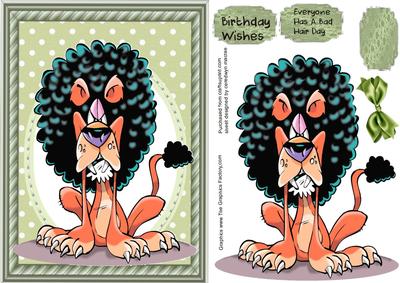 Everyoine Has a Bad Hair Day Some Time 
