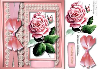 Beautiful Pink Rose , Lace , and Ribbon Bow, 1