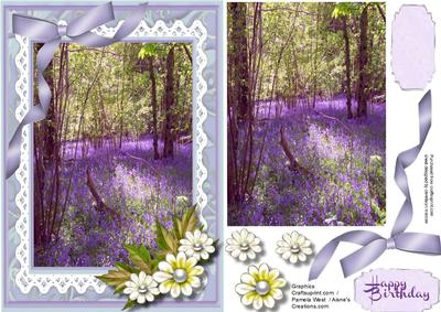 Beautiful Bluebell Woods on a Lace Frame