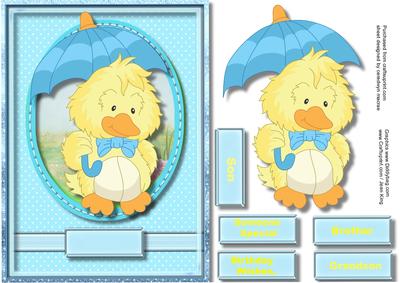 Litle Birthday Boy Chick in the Rain