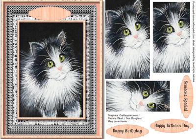 Beautiful Kitten in Monochrome and Peach 