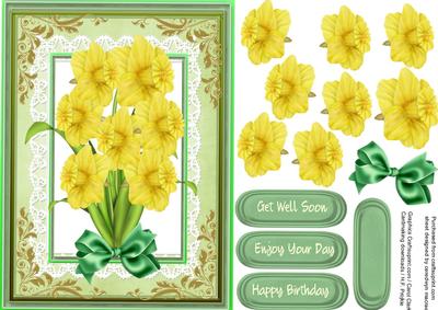 Beautiful Daffs for Someone Special