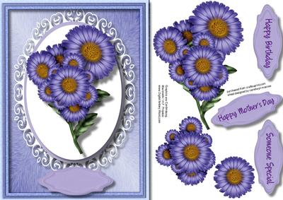 Lovely Floral Astors for Somoen Special