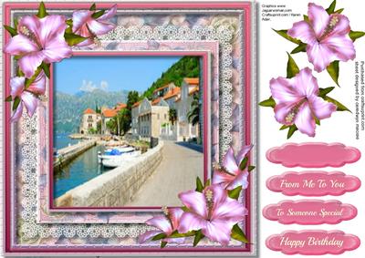 Beautiful Scene and Hibiskus