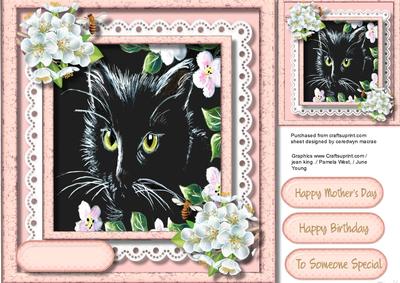 Stunning Black Cat in the Blossoms, 