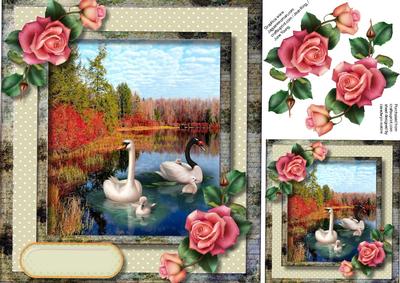 Beautiful Downton Roses and Swans on the Lake 