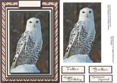 Beautiful Snow Owl , Card and Topper