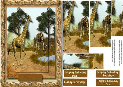 Beautiful Giraffe's in the Reserve 