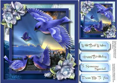 Stunning Sunset and the Blue Birds