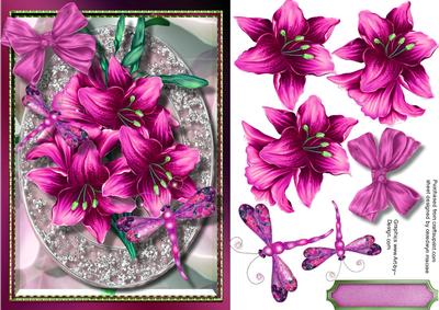Lovely Deep Pink Lilly's Abd Dragonfly 