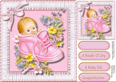 A Bundle of Joy in a Bootie ( Girl)