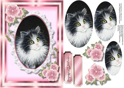 Beautiful Cat in a Oval Lace Frame , Pyramid 
